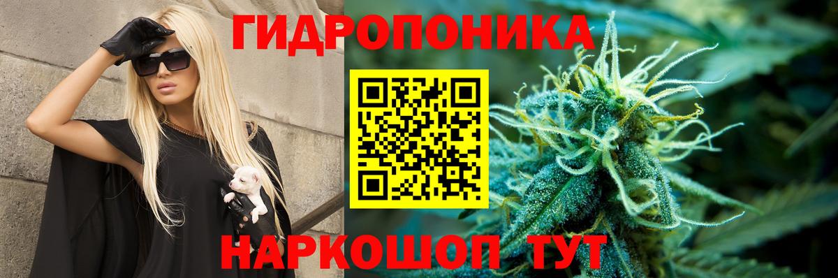 Конопля MAZAR  Вход с VPN  Шишки марихуана семена  Бошки Шишки Amnesia  Минусинск 